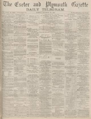 cover page of Exeter and Plymouth Gazette Daily Telegrams published on November 23, 1880