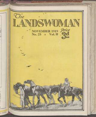 cover page of Landswoman published on November 1, 1919