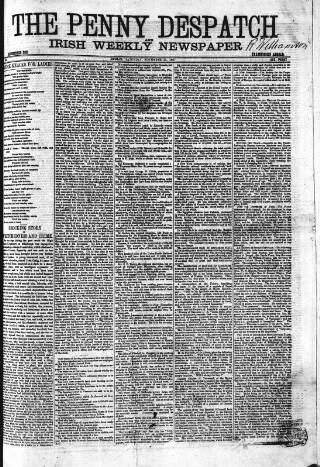 cover page of Penny Despatch and Irish Weekly Newspaper published on November 23, 1867