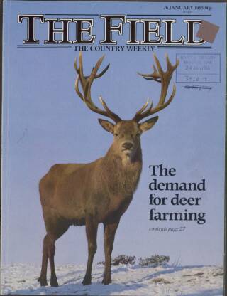 cover page of Field published on January 26, 1985