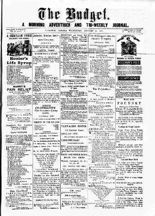 cover page of Budget (Jamaica) published on January 26, 1881