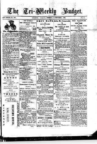 cover page of Budget (Jamaica) published on December 18, 1888