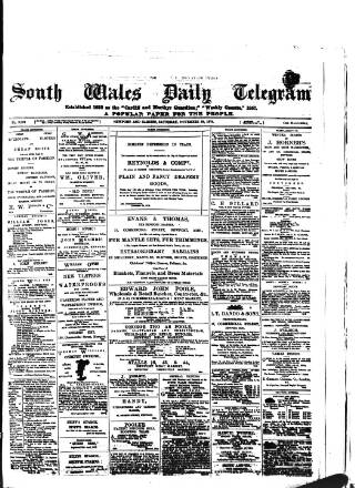 cover page of South Wales Daily Telegram published on November 23, 1878