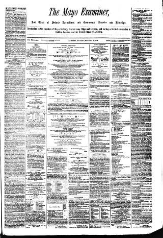 cover page of Mayo Examiner published on November 23, 1878