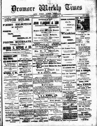 cover page of Dromore Weekly Times and West Down Herald published on November 23, 1907